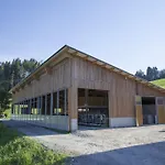 Oberwinklgut 4* Bischofshofen