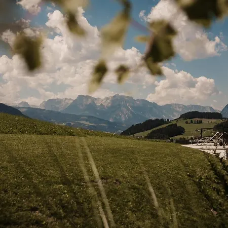 أوبيرفينكيلغوت