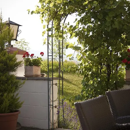 أوبيرفينكيلغوت 4* بيشوفشوفن